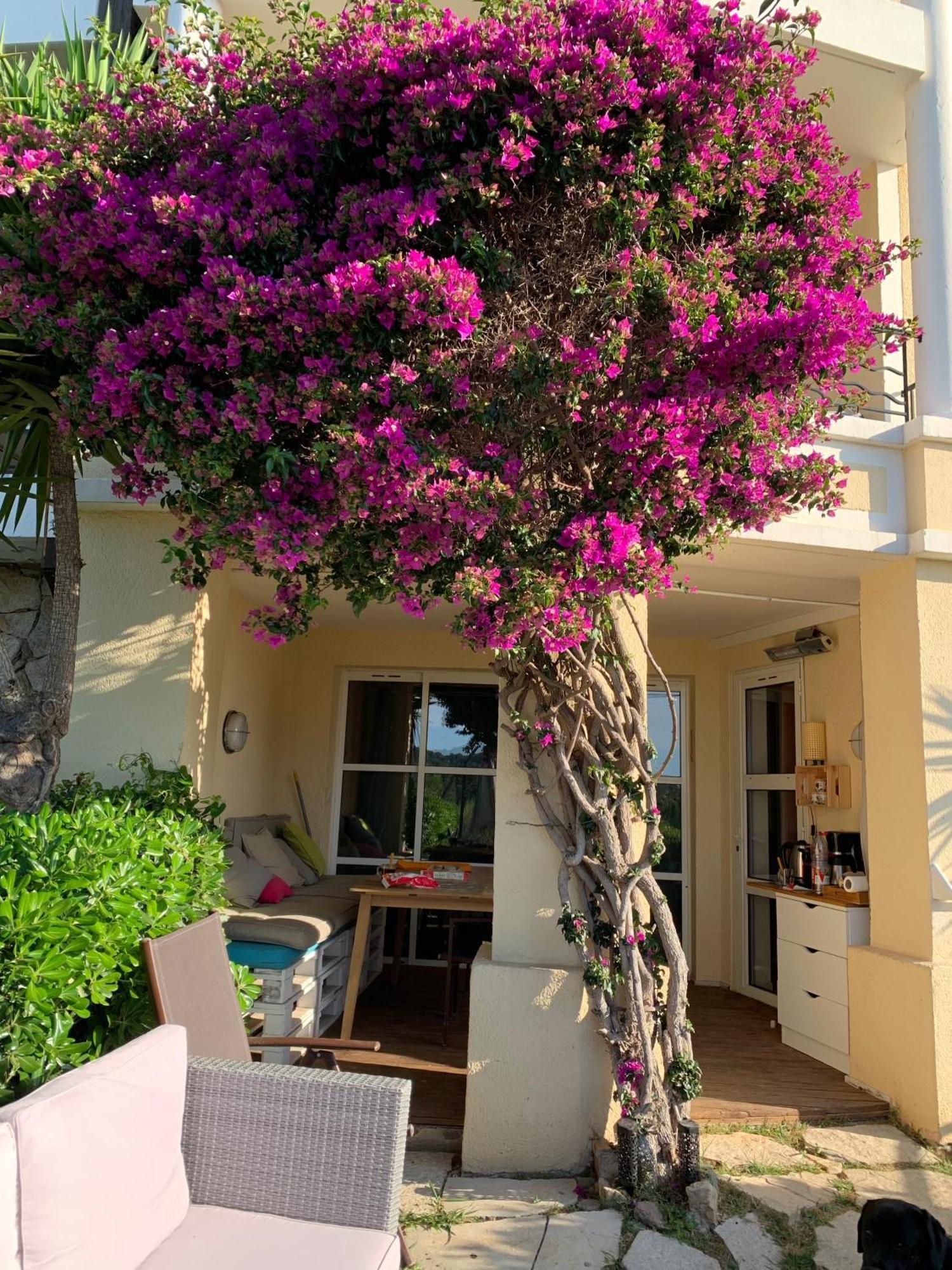 T2 En Rez De Jardin Privatif Cloture , Cap Esterel Pierre Et Vacances ,Piscine Chauffee Des Le 05 Avril Au 02 Novembre Saint-Raphaël Zewnętrze zdjęcie